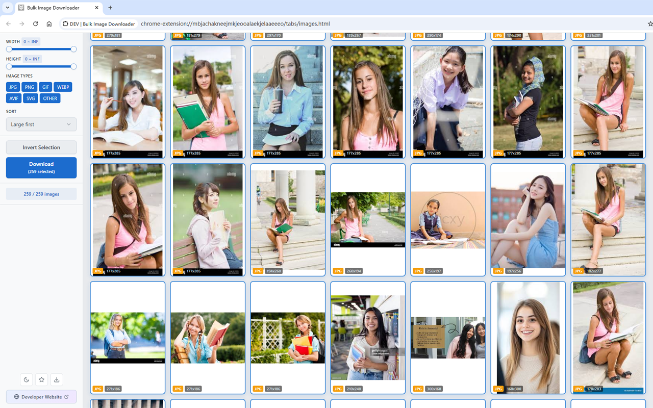 Preview every image on the page, then filter by size and type